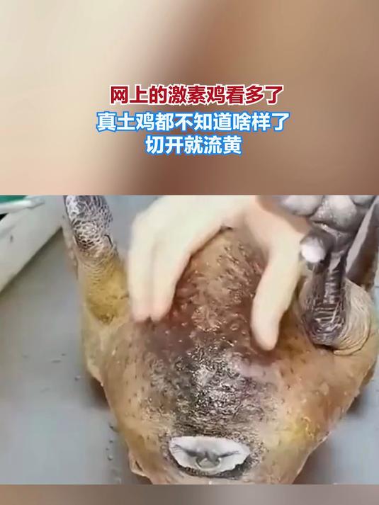 网上的激素鸡看多了,真土鸡都不知道啥样了,切开就流黄