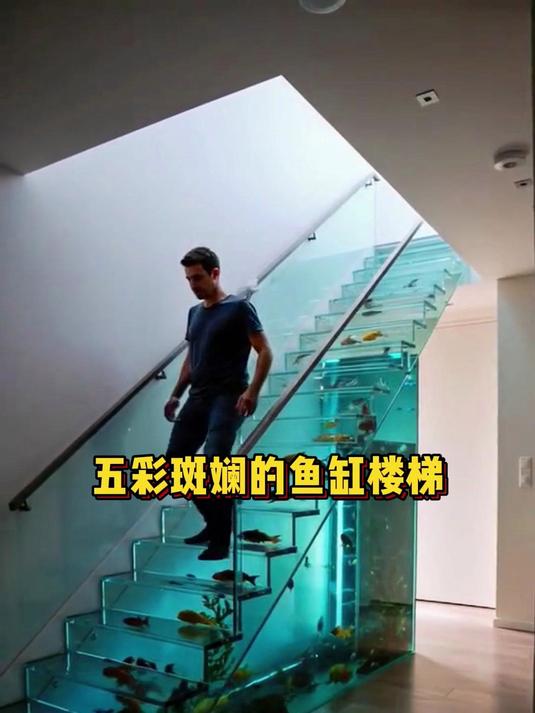 是鱼缸也是楼梯,楼梯鱼缸里五彩斑斓的海底世界