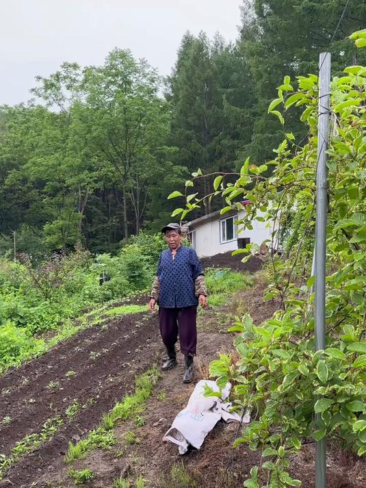 六十年代人过生日没有蛋糕讲究很多 #我的乡村生活#
