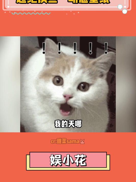 在上班摸鱼这一块