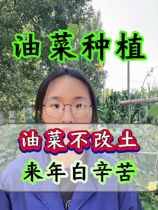 油菜不改土 来年白辛苦