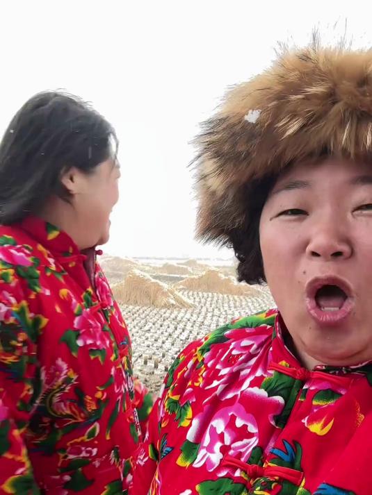 东北的铁锅炖大鹅终于吃上了!
