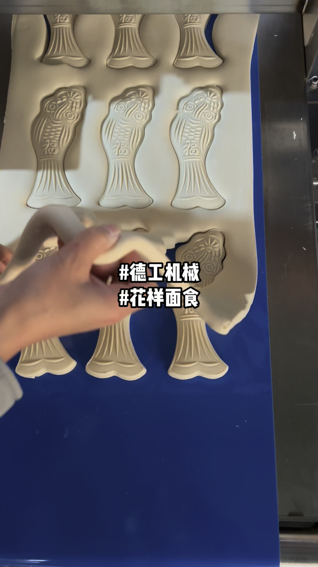 面鱼莲子卡子机器设备