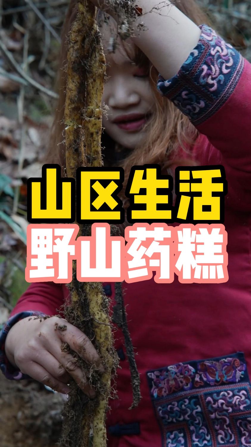 野生山药需发现,挖掘,烹饪,最后成为山药糕。虽然过程巉岩不可攀,却依然会当凌绝顶