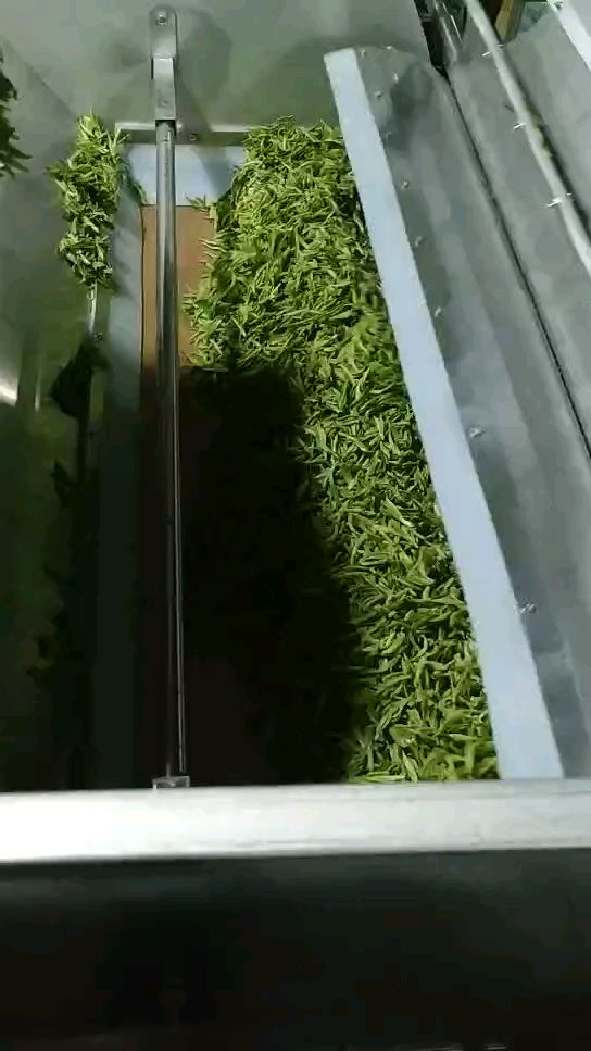 茶叶微波杀青机光波杀青设备