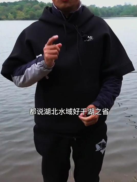 初冬探钓-金色的大鲤鱼。#钓鱼 #户外钓鱼