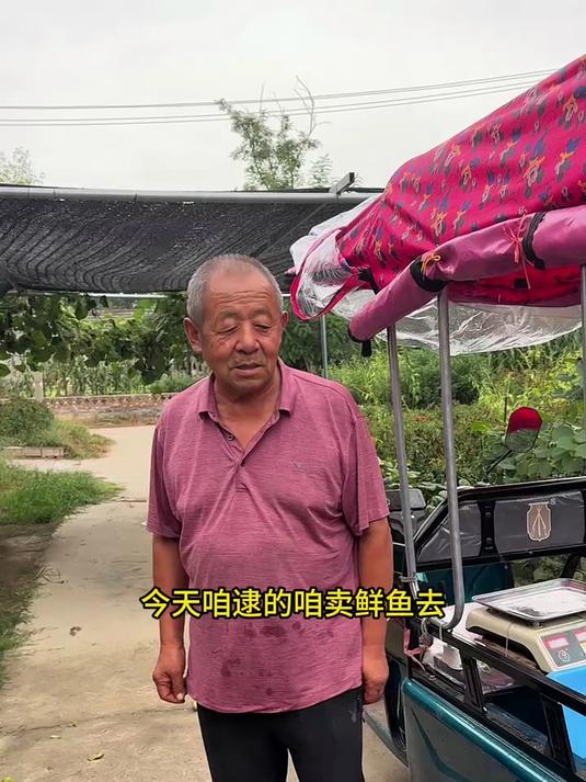 今天不卖糟鱼，卖鲜鱼