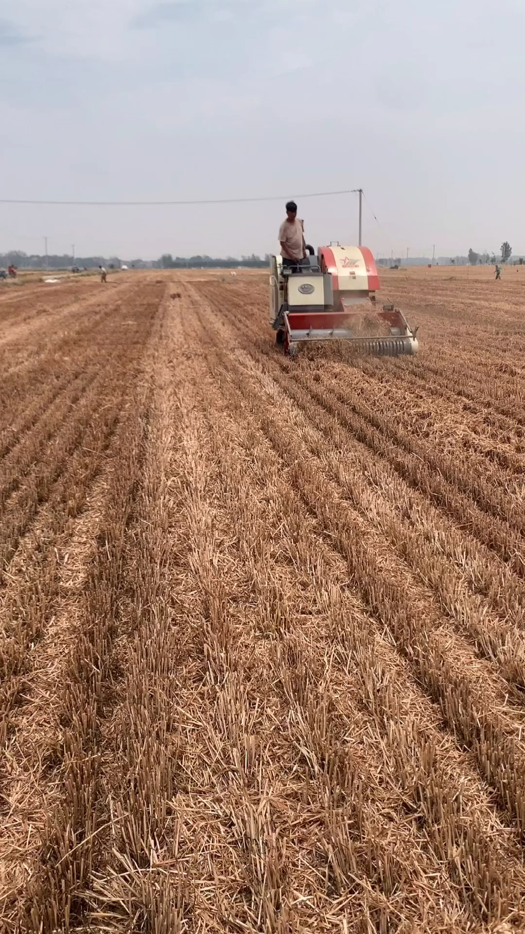 自走式打捆机,操作简单,适应地形广,工作效率高