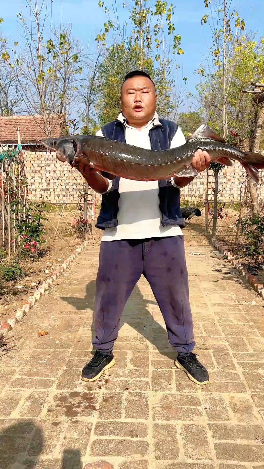 今天酱焖鲟鳇鱼