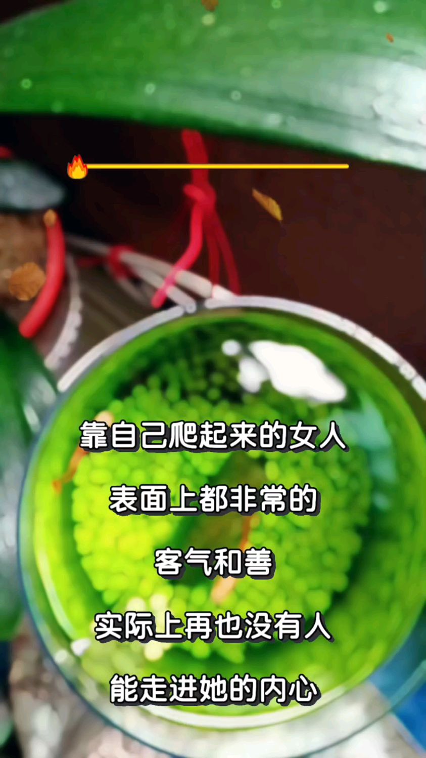 可爱的小金鱼