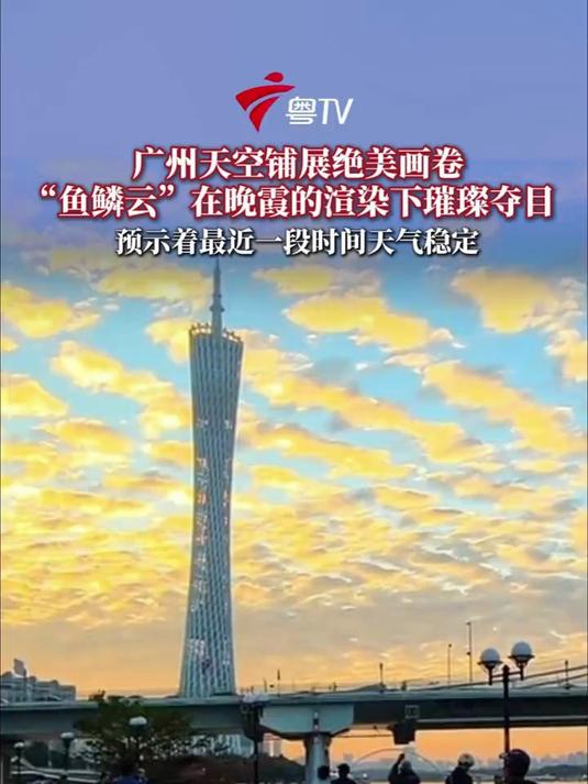11月23日傍晚，广州天空出现大片“鱼鳞云”，云层在晚霞的渲染下璀璨夺目