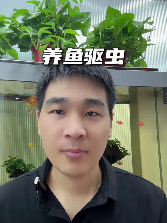 观赏鱼驱虫