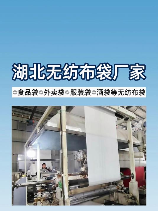 湖北无纺布袋厂家 无纺布袋 手提袋 奶茶袋 外卖袋