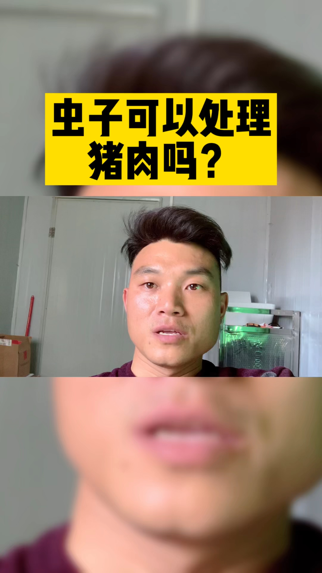 虫子可以处理猪吗?