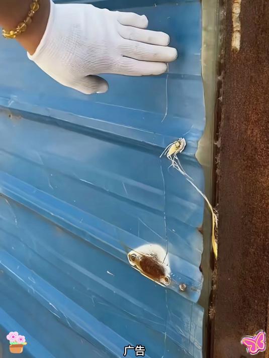 迷你炮钉枪混凝土水泥砖墙线槽钢钉射钉吊顶安装家用消音打钉神器
