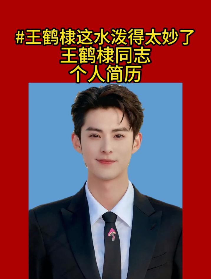 王鹤棣同志个人简历