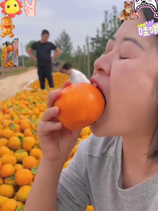 正宗巧克力柿子，果肉细腻，天然香甜超好吃！#春节#