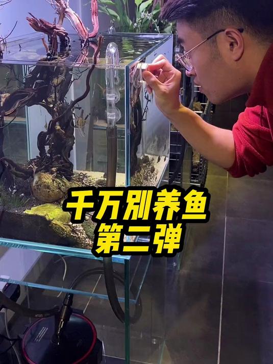 远离鱼缸,健康人生 第二集