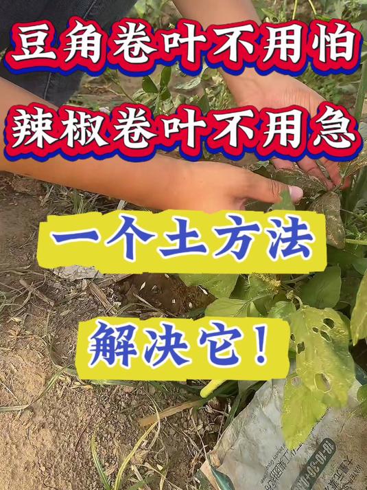 蔬菜各种病虫害一包搞定