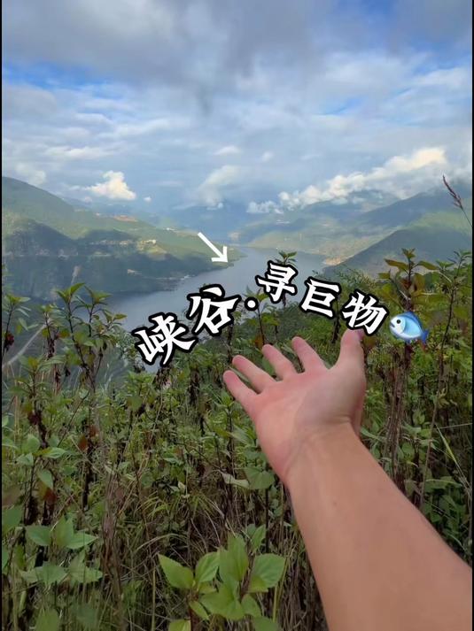 沃鼎王者神剑三代鱼竿手杆超轻硬碳素钓鱼竿小综合鲫鱼台钓