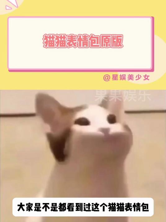 猫猫表情包原版