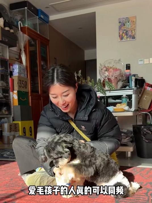 今天遛两条腿的雪纳瑞,没想到遇到心软的神了