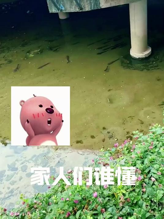 老家农村禁止捕鱼三年