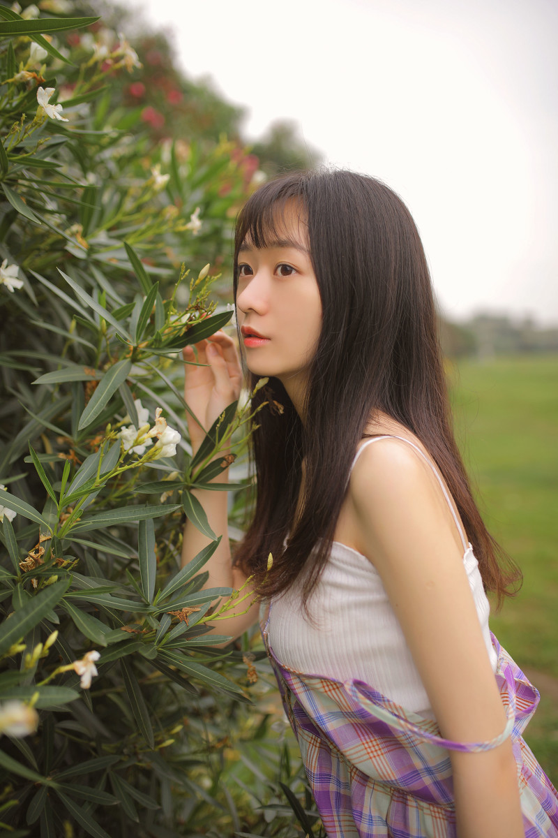 图片[14]-夏天的风-六色网