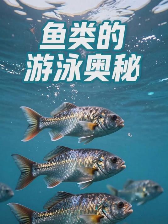 鱼类的水中奥秘：为什么鱼能在水里游？