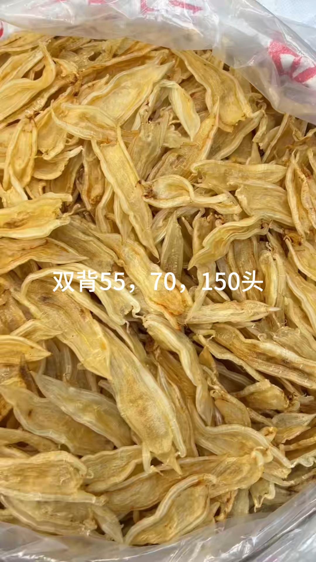 双背,佐罗胶,印尼白花,巴西北海公,大耳,开片小土鳘