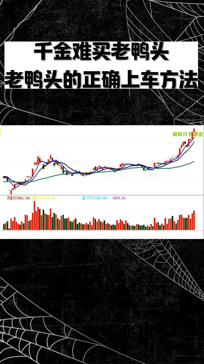 股市谚语:千金难买老鸭头!你知道正确上车方法吗