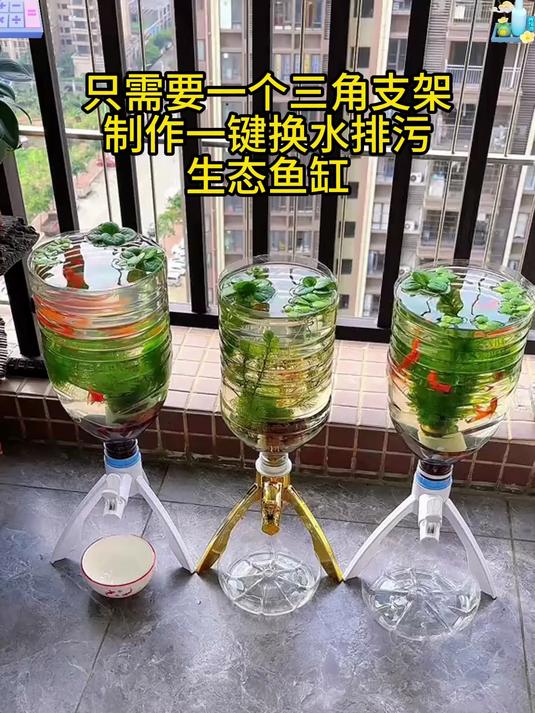 一个矿泉水瓶一个三角支架就能制作生态鱼缸，快速排污非常轻松