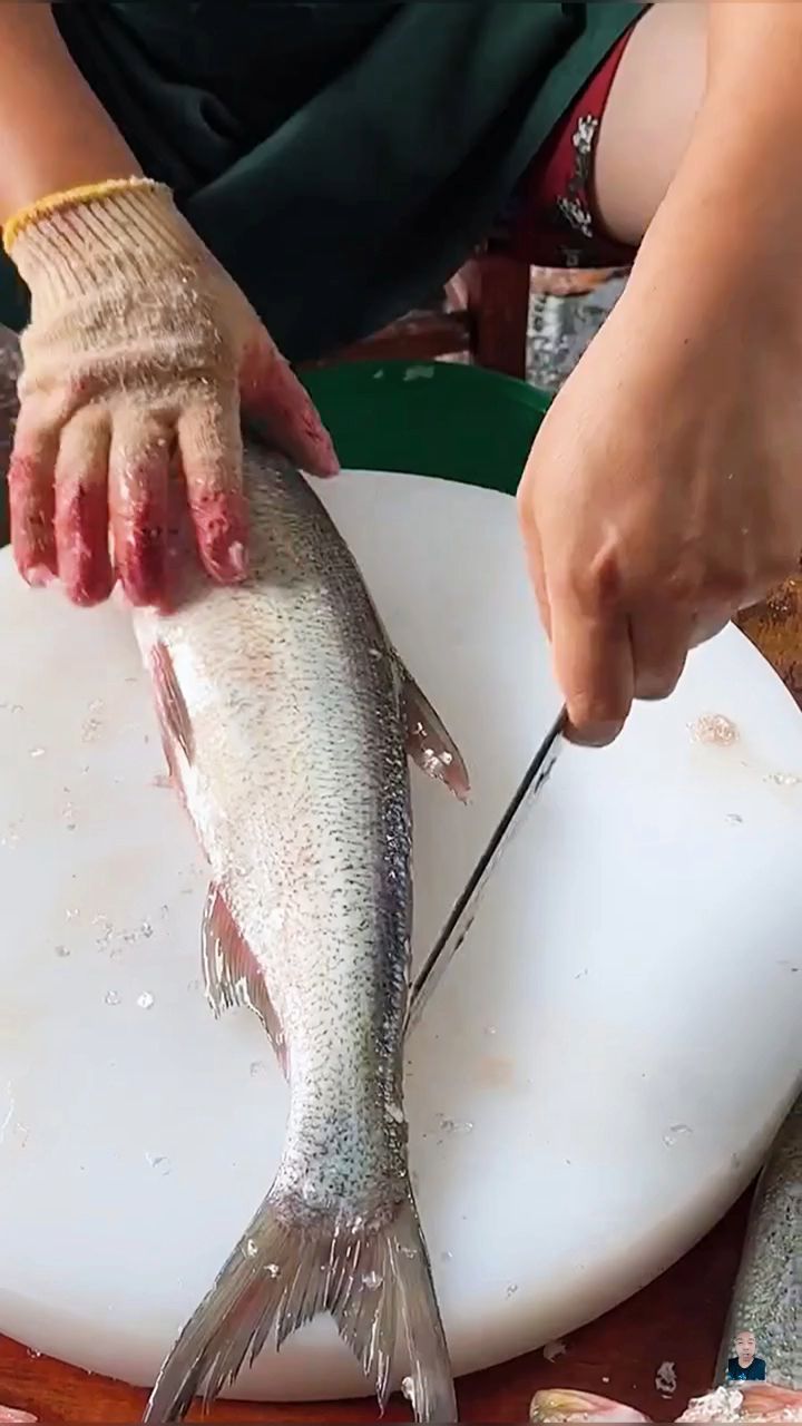 清理鱼内脏手法