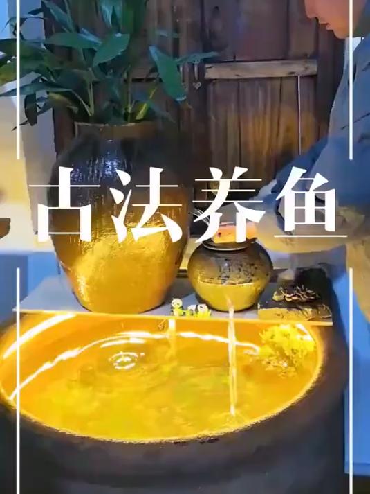 古法养鱼，花最少的钱办事，做出来的流水鱼缸感觉还可以