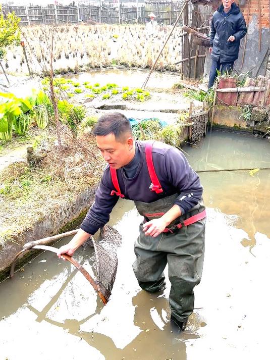 今天用虾耙捞鱼也挺方便的