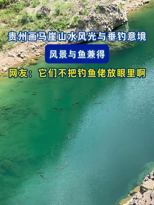 贵州画马崖山水风光如画与垂钓意境,风景与鱼兼得,网友:它们这是不把钓鱼佬放眼里啊#花满春城