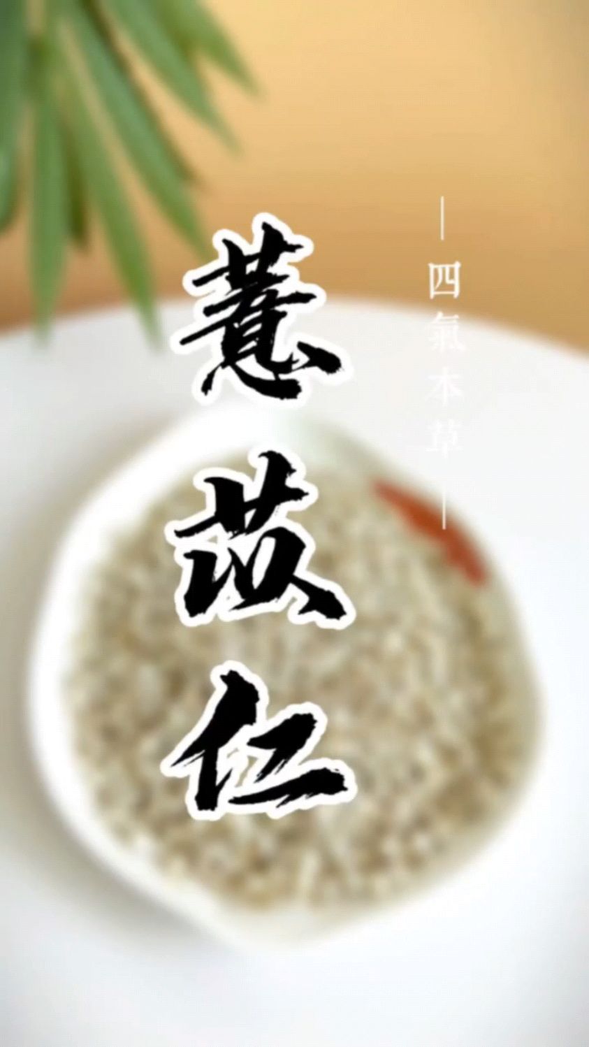 分享给大家薏苡仁的功效与作用!