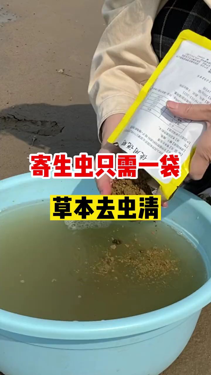 池塘有虫怎么办寄生虫车轮虫绦虫猫头骚指环虫草本驱虫清