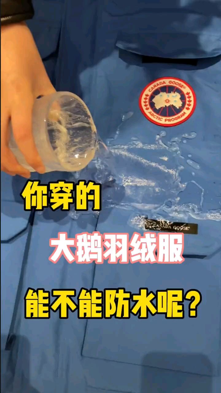 加拿大大鹅羽绒服yyds