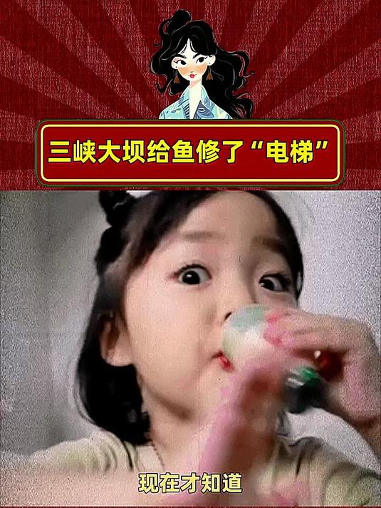 原来洄游鱼类是这么通过三峡大坝的