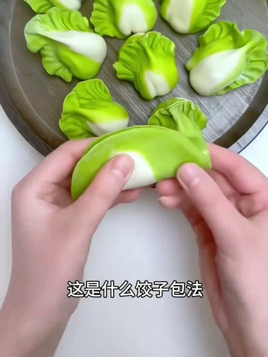 分享各种饺子的包法，你吃过哪一种？ #饺子 #百财饺子 #水饺 #美食 #手艺人