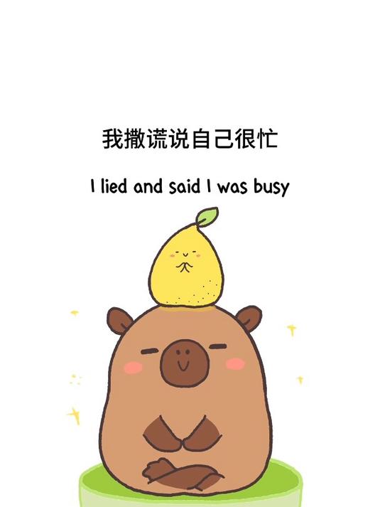 我撒谎说自己很忙,忙着去关注自己的内心