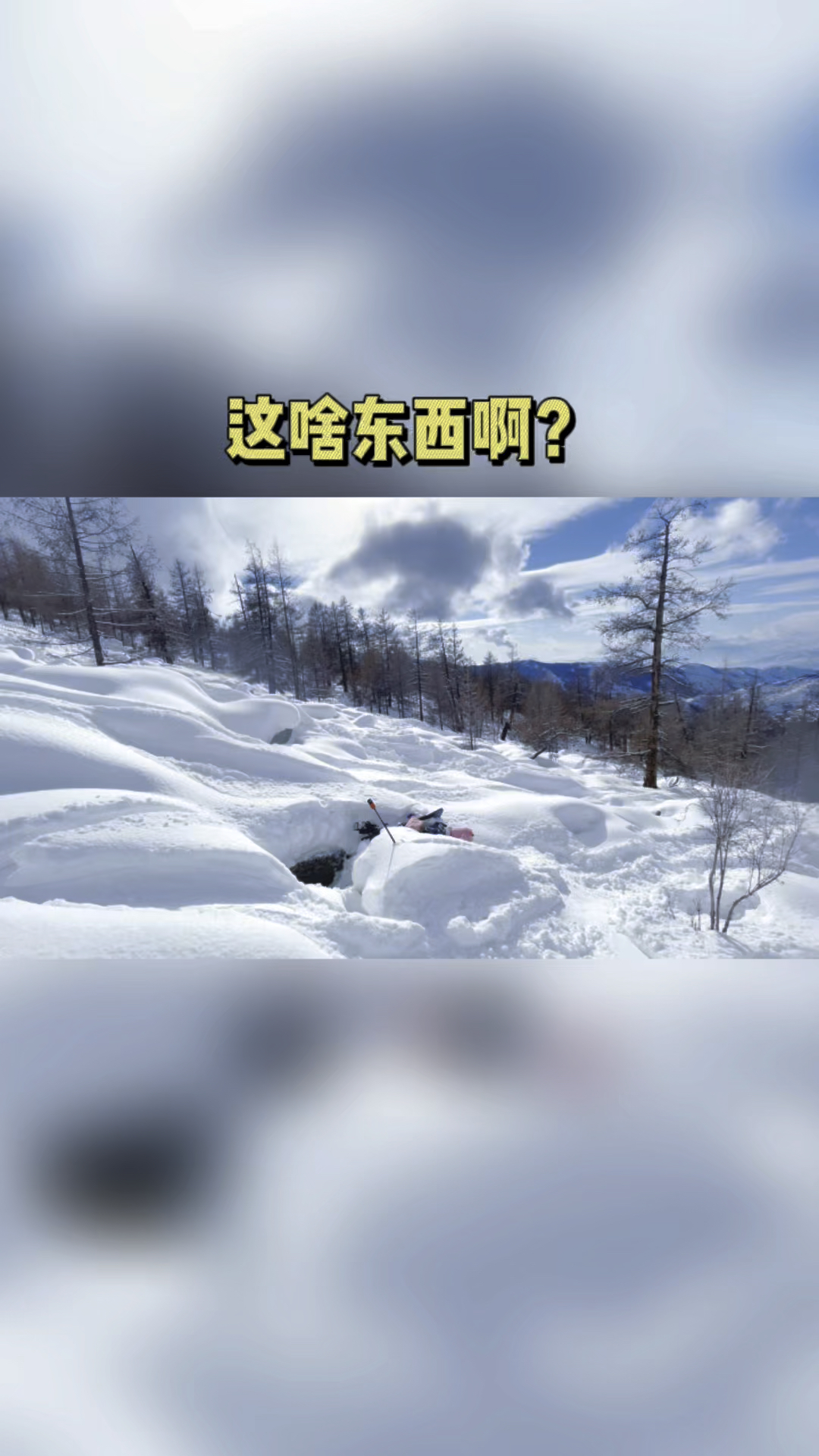 看上去不太聪明的样子