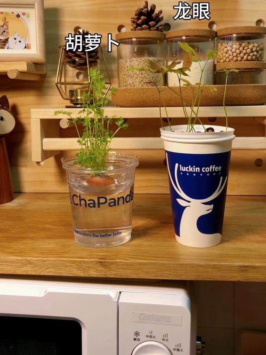奶茶杯别扔！这里有新打开方式等你发现！