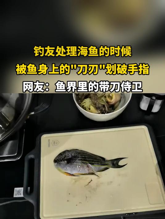 钓友处理海鱼的时候,被鱼身上的刀刃划破手指