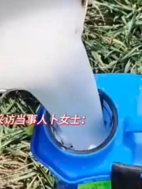 66岁老太报复性给菜地喷洒农药,致邻居一家口麻、腹痛、恶心,当地警方:肇事者被行拘12天