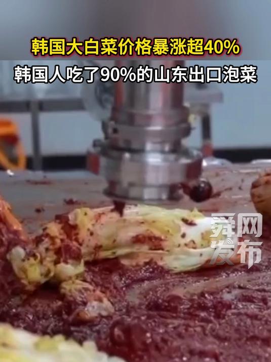 韩国大白菜价格暴涨超40%,韩国人吃了90%的山东出口泡菜