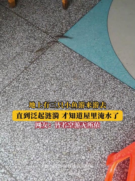地上有三只小鱼游来游去，直到泛起涟漪 才知道屋里淹水了！