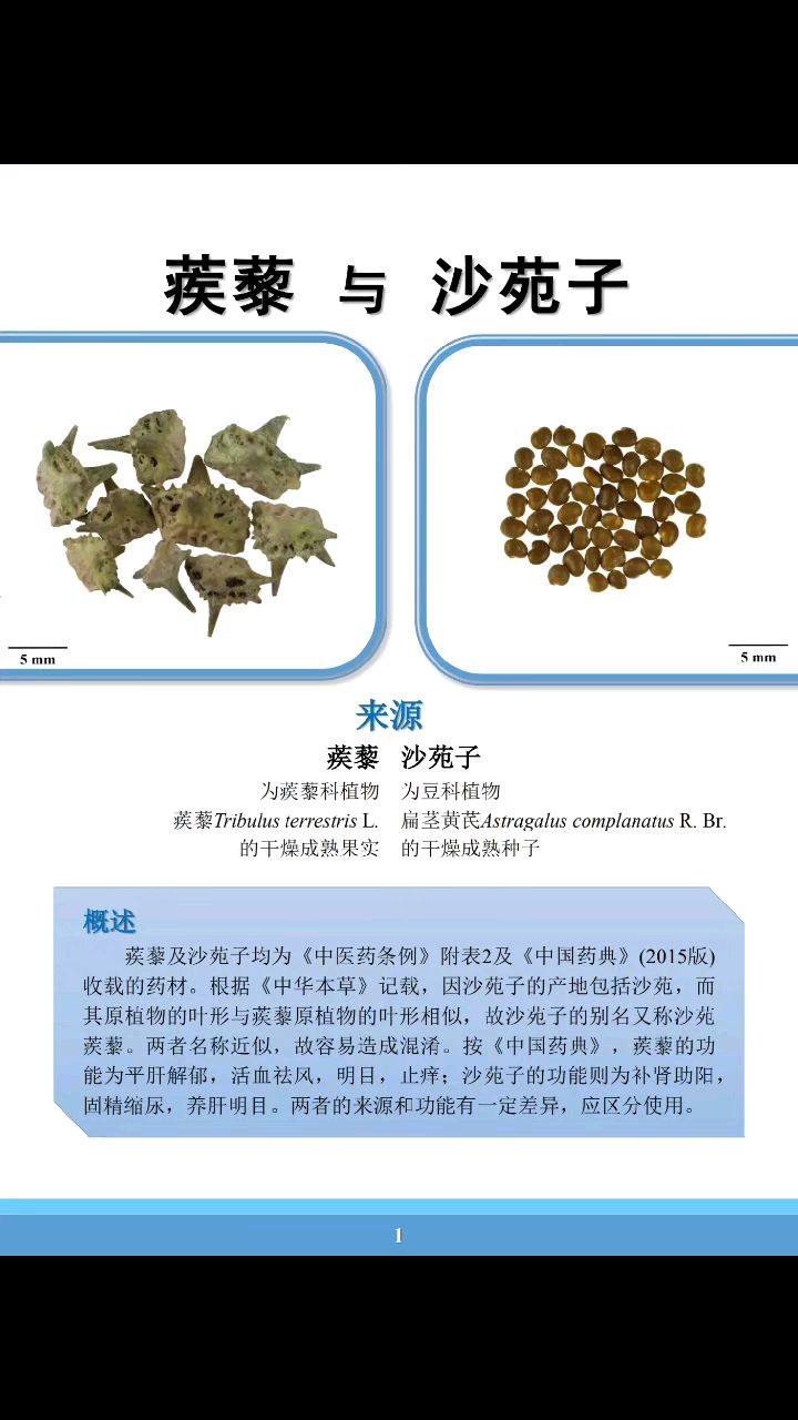 蒺藜与沙苑子鉴别