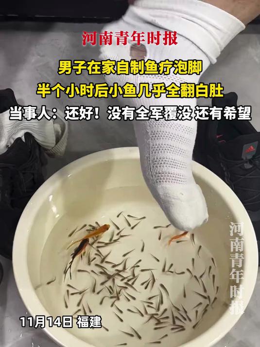 男子在家自制鱼疗泡脚,半个小时后小鱼几乎全翻白肚,当事人:还好!没有全军覆没,还有希望